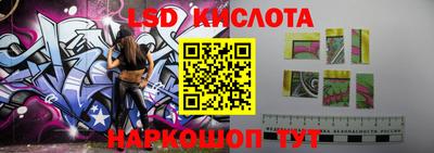 крисы Ирбит