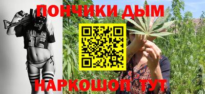 крисы Ирбит