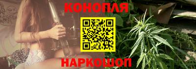 крисы Ирбит